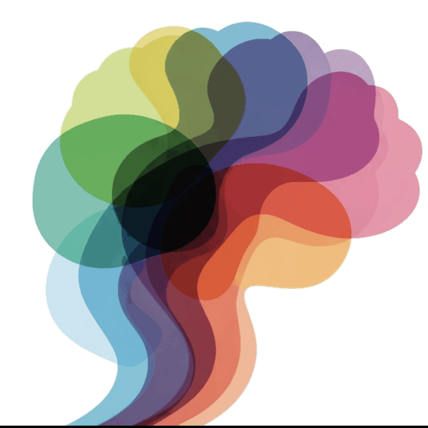 Corso sull'Elaborazione Sensoriale: dall'esperienza alla teoria