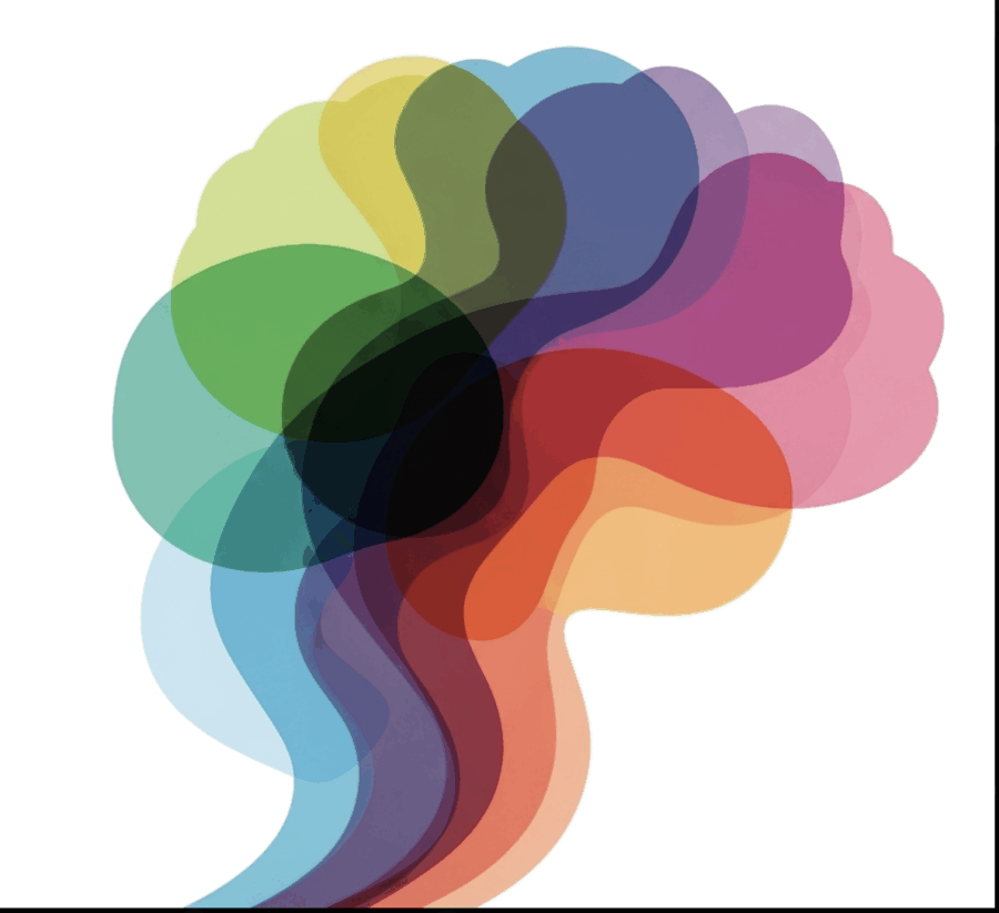 Corso sull'Elaborazione Sensoriale: dall'esperienza alla teoria